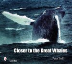 Cler to the Great Whales