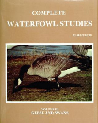 Complete Waterfowl Studies