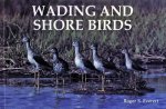 Wading and Shore Birds: A Photographic Study