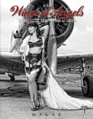 Wings of Angels: A Tribute to the Art of World War II Pinup and Aviation Vol 1