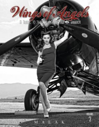 Wings of Angels: A Tribute to the Art of World War II Pinup and Aviation Vol 2