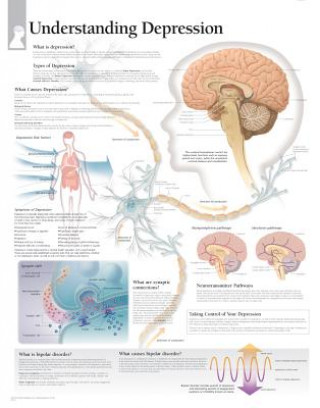 Understanding Depression Paper Poster