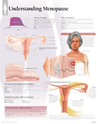 Understanding Menopause Paper Poster