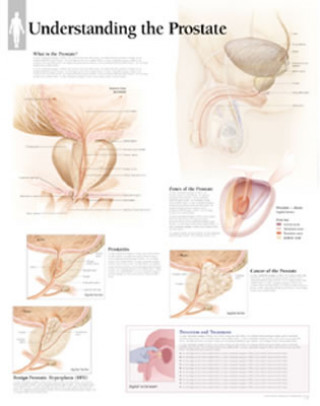 Understanding the Prostate Paper Poster