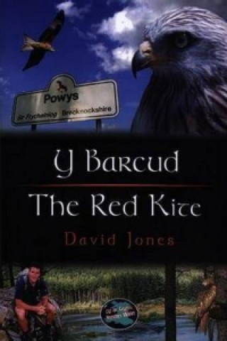 Cyfres Cip ar Gymru / Wonder Wales: Barcud, Y / Red Kite, The