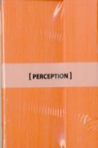 ORANGE PERCEPTION MAG FLAP NOTEBOOK A6