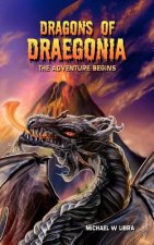 Dragons of Draegonia - The Adventure Begins