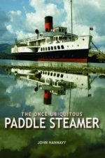 Once-Ubiquitous Paddle Steamer