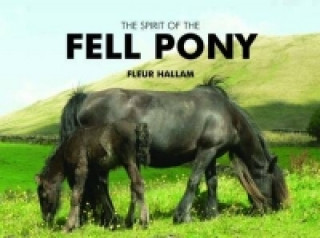 Spirit of the Fell Pony