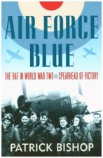 Air Force Blue