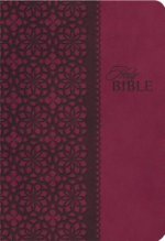 KJV Study Bible, Large Print, Leathersoft, Red/Pink, Red Letter