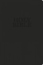 KJV, UltraSlim Bible, Imitation Leather, Dark Brown, Red Letter Edition