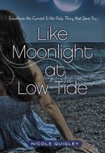 Like Moonlight at Low Tide