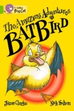 Amazing Adventures of Batbird