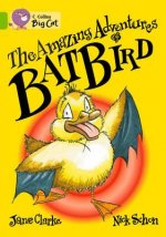 Collins Big Cat - The Amazing Adventures of Batbird Workbook