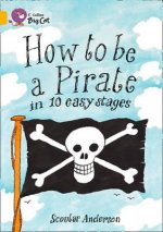 Collins Big Cat - How to be a Pirate Workbook