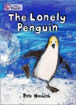 Collins Big Cat - The Lonely Penguin Workbook