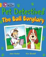 Collins Big Cat - The Pet Detectives: The Ball Burglary Workbook