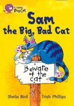 Collins Big Cat - Sam The Big, Bad Cat Workbook