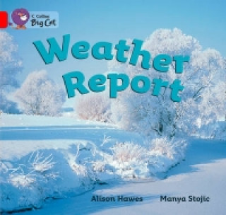 Collins Big Cat - Weather Report