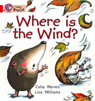 Where is the Wind? Workbook