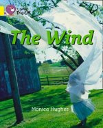 Collins Big Cat - The Wind Workbook