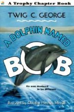 Dolphin Named Bob