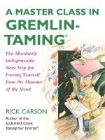 Master Class in Gremlin-Taming(R)