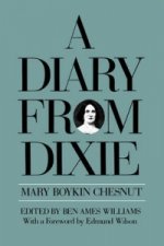 Diary from Dixie