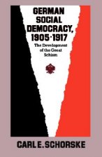 German Social Democracy, 1905-1917