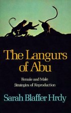 Langurs of Abu