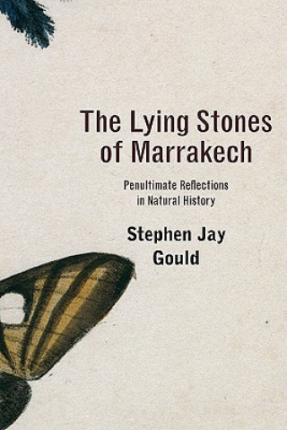 Lying Stones of Marrakech