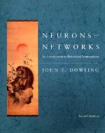 Neurons and Networks