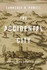 Accidental City