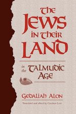 Jews in Their Land in the Talmudic Age