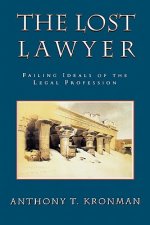 Lost Lawyer