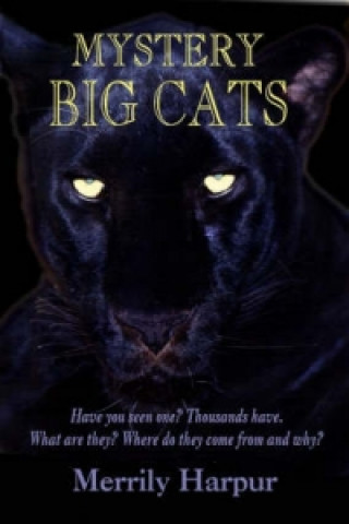 Mystery Big Cats