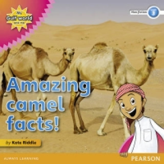 My Gulf World and Me Level 3 non-fiction reader: Amazing camel facts!