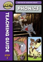 Rapid Phonics Teaching Guide 3