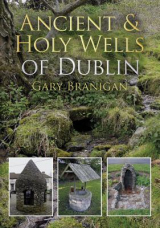Ancient and Holy Wells of Dublin