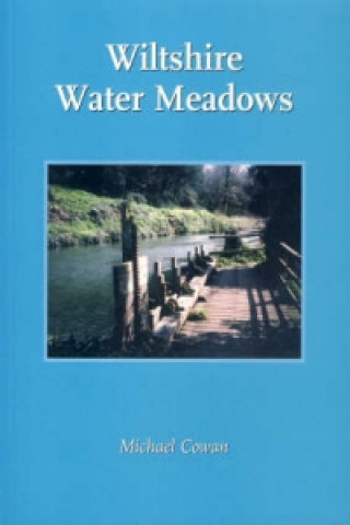 Wiltshire Water Meadows