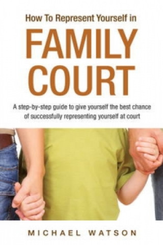 How To Represent Yourself in Family Court