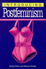 Introducing Postfeminism