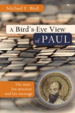 Bird's eye view of Paul
