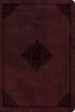 ESV Gospel Transformation Bible