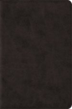 ESV Reader's Bible