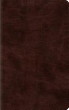 ESV Thinline Bible