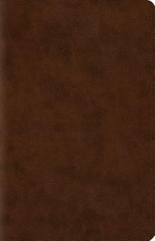 ESV Wide Margin Reference Bible