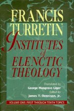 INSTITUTES OF ELENCTIC THEOLOGY VOL 1 FI