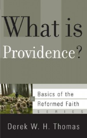 What is Providence?